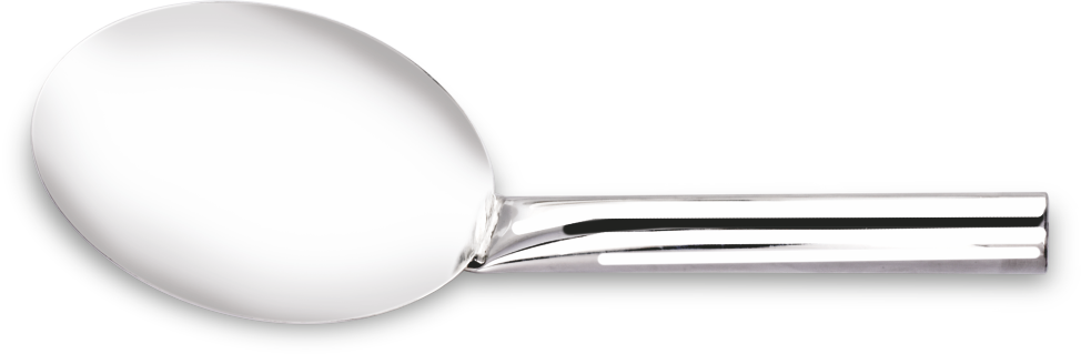 Stainless Steel  Serving Spoon With Long Handle
