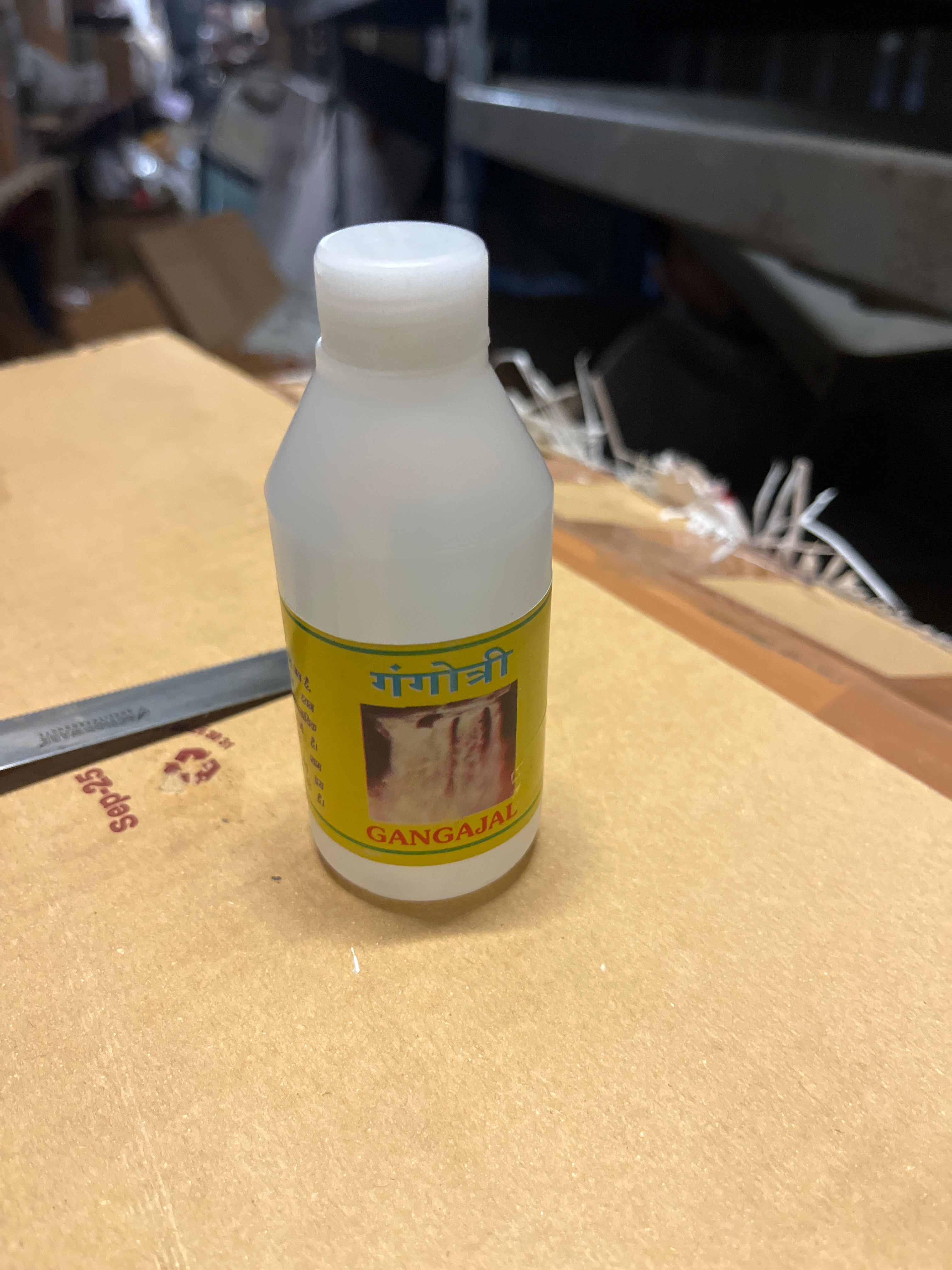 Gangajal 100ML